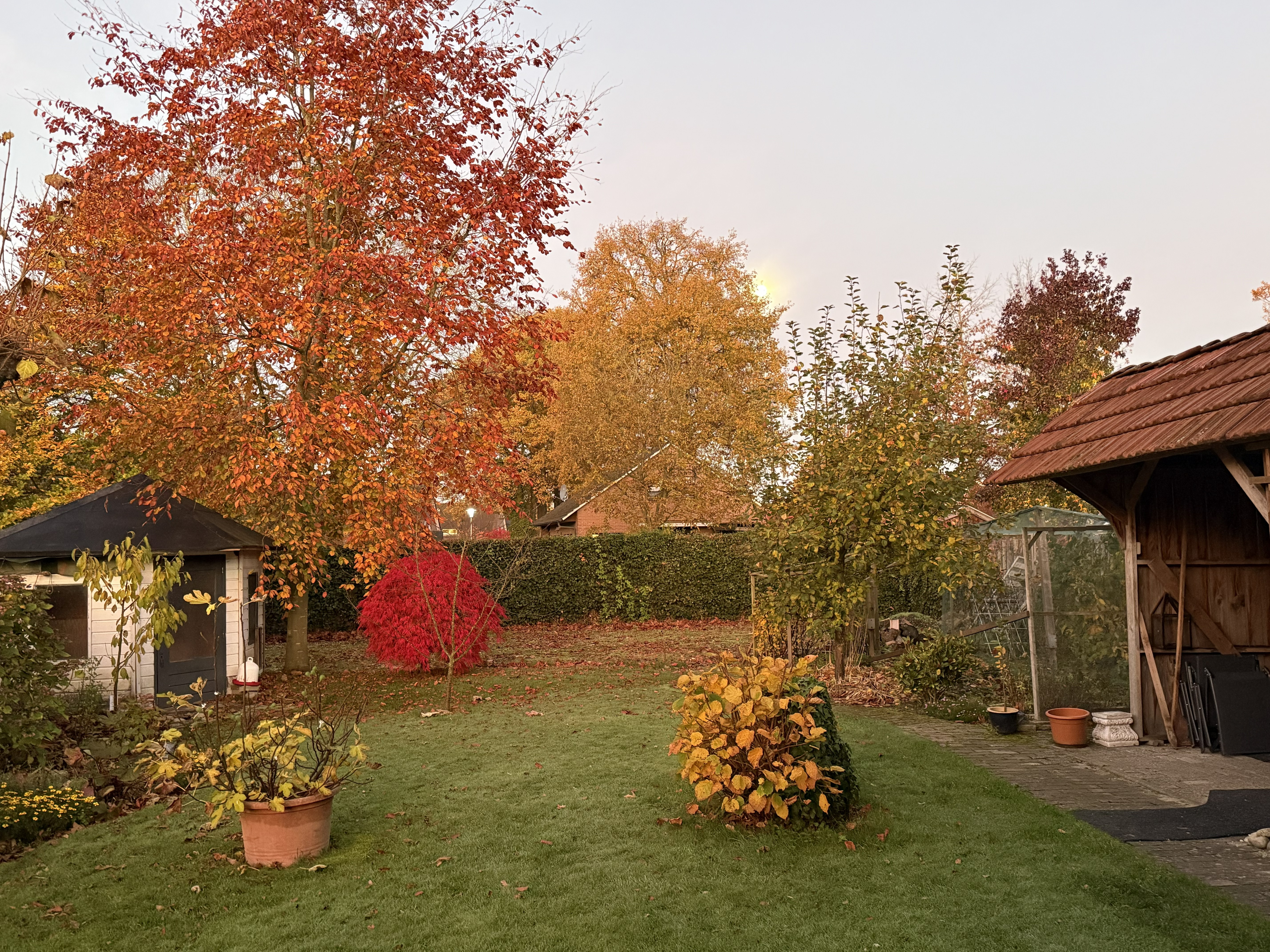 Relax in our peaceful garden