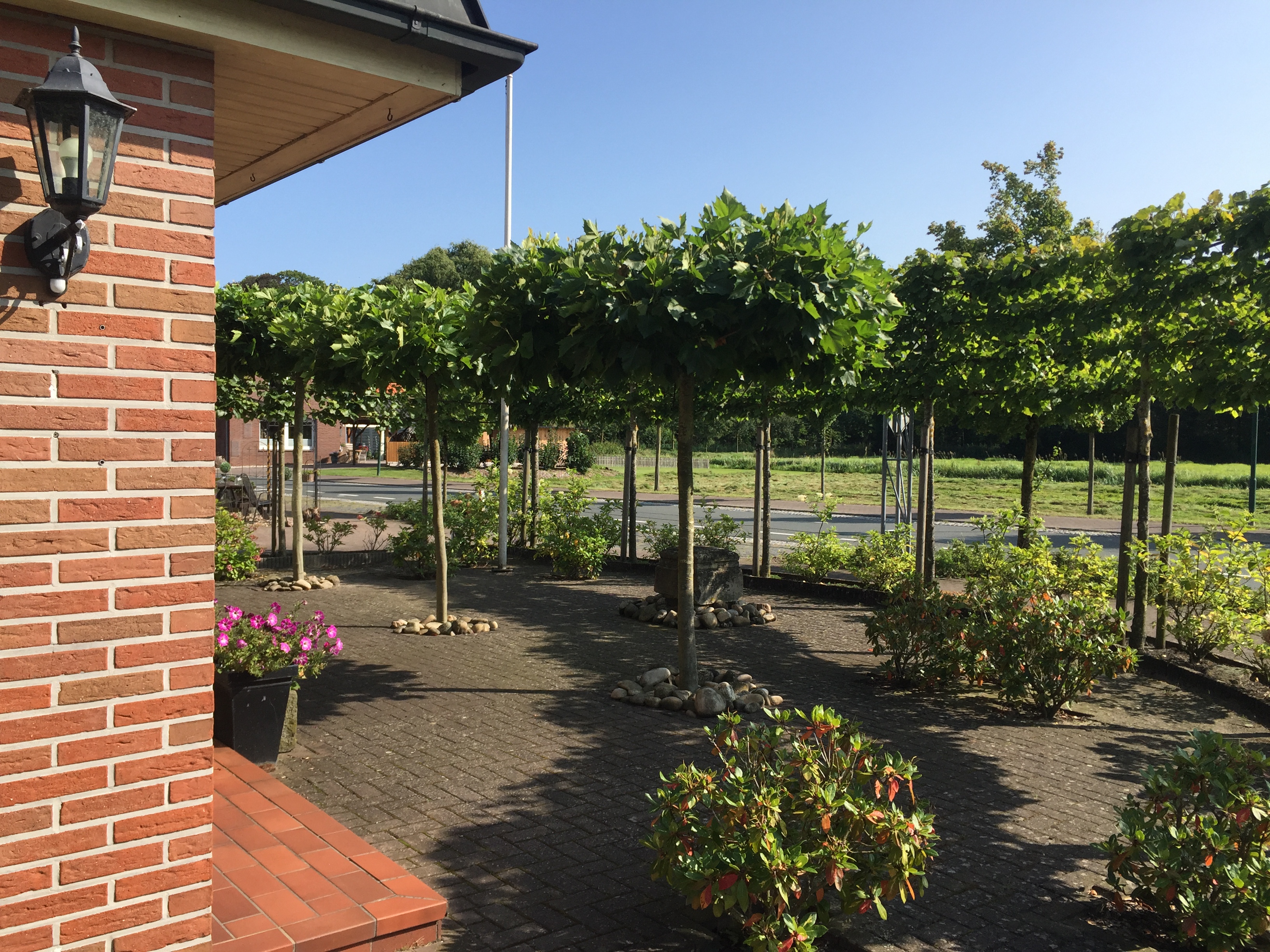 Sunny terrace with countryside views